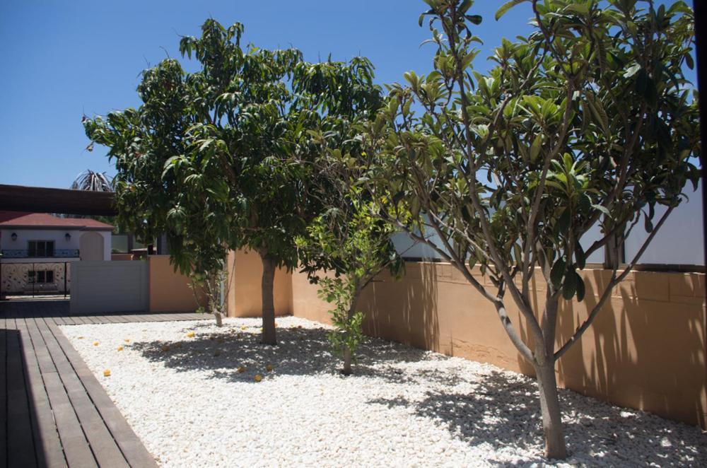 Villa La Marosca - Jacuzzi, Private Pool, 3 Bedrooms Caleta de Fuste Exterior foto